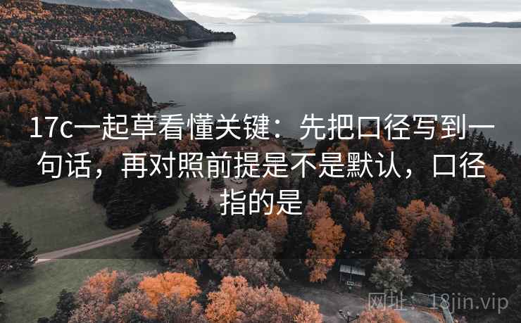 17c一起草看懂关键：先把口径写到一句话，再对照前提是不是默认，口径指的是